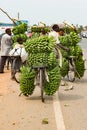 Bananas, heavy load on bikes in Uganda. Boy and men carrying loads on bikes. Bicycles loaded with cooking bananas and bags