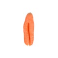 Uggly carrot isolated on white