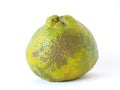 Ugli Fruit