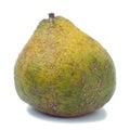 Ugli Fruit Also Called Uniq Fruit