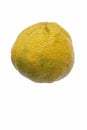 Ugli fruit