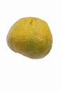 Ugli fruit