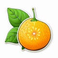 Ugli Fruit Simple Vector Vinyl Sticker Design Elements Flat Royalty Free Stock Photo