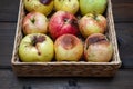 Ugly apples at wicker basket on the wooden brown background. close up.