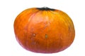 Ugly autumn pumpkin isolated on white background