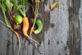 Ugly carrot, beetroot and cucumber