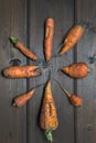 Ugly carrots just plucked in the garden arranged in a circle on a wooden dark background. organic food concept