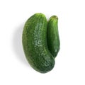Ugly cucumbers. Food waste from supermarket. Isolated. Trendy vegetables concept