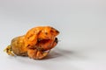 Ugly dirty deformed spoiled organic carrot on a white background with copy space. Food waste concept. Horizontal orientation
