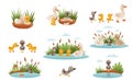 Ugly duckling fairy tale. Duckling is born into family of geese cartoon vector illustration