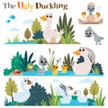 The ugly duckling