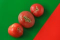 Ugly food concept, deformed tomatoes on the red background, copy space, creative duotone image