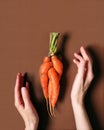 Ugly food concept. Two female hands carefully frame mutant carrots. Autumn red vegetable, natural organic product, harvest.