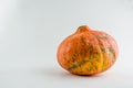 Ugly food. orange pumpkin on a white background Royalty Free Stock Photo