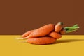 Ugly food. Raw red carrot mutant on vibrant yellow brown background. Autumn vegetable, natural organic product, harvest. Ginger