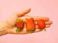 Ugly food: unusual strawberry in a woman hands Royalty Free Stock Photo