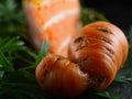 Ugly fresh carrots with green leaves. In the background is a carrot cake Royalty Free Stock Photo