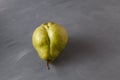 Ugly fruit. Fancy ripe pear, on a gray background, copy space