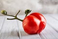 Ugly fruit or vegetable. Severely malformed mutant tomato. Food shops mostly prefer the best quality fruit and vegetables. Ugly Royalty Free Stock Photo