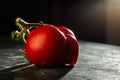 Ugly fruit or vegetable. Severely malformed mutant tomato. Food shops mostly prefer the best quality fruit and vegetables. Ugly Royalty Free Stock Photo