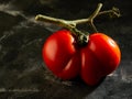 Ugly fruit or vegetable. Severely malformed mutant tomato. Food shops mostly prefer the best quality fruit and vegetables. Ugly Royalty Free Stock Photo