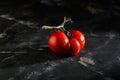 Ugly fruit or vegetable. Severely malformed mutant tomato. Food shops mostly prefer the best quality fruit and vegetables. Ugly Royalty Free Stock Photo