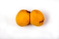 Ugly funny ripe tasty accrete apricot on a white background Royalty Free Stock Photo