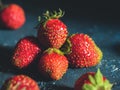 Ugly garden fresh ripe strawberry on a dark blue background. Real organic food