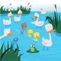 Ugly little duck swiming in water