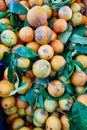 Ugly Oranges at Greek Street Market