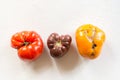 Ugly organic colorful tomatoes set on white