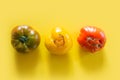 Ugly organic colorful tomatoes set on yellow