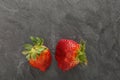 Ugly organic strawberries on white background