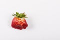 Ugly organic strawberries isolated on white background