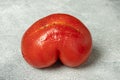 Ugly Organic Vegetable - Single red heart-shaped tomato on a gray background Royalty Free Stock Photo