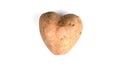 Ugly potato in the heart shape isolated. Food waste concept