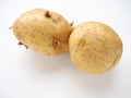 Ugly potatoes on white background. Unnormal vegetable, zero waste. Irregular shaped pratie spud. Influence of dioxins