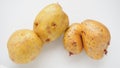 Ugly potatoes on white background. Unnormal vegetable, zero waste. Irregular shaped pratie spud. Influence of dioxins