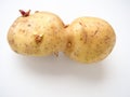 Ugly potatoes on white background. Unnormal vegetable, zero waste. Irregular shaped pratie spud. Influence of dioxins