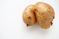 Ugly potatoes on white background. Unnormal vegetable, zero waste. Irregular shaped pratie spud. Influence of dioxins