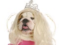 Ugly princess Royalty Free Stock Photo