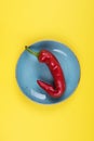 Ugly red chili peppers on a blue plate on a yellow background, minimal style of nature, pop art, creative food concept, modern art