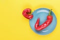 Ugly red chili peppers on a turquoise plate on a yellow background, minimal style of nature, pop art, creative food concept,