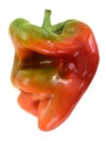 Ugly shaped organic vegetables. Deformed homegrown bell pepper i