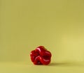 Ugly shaped organic vegetables. Deformed homegrown bell pepper on yellow background