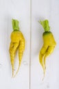 Ugly shaped vegetables, food. Deformed fresh organic carrots. Misshapen produce