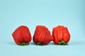 Ugly strawberries on blue background .Funny, unnormal fruits or food waste concept. Unformatted fruits.Copy space.