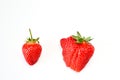 Ugly strawberries and plain beautiful strawberries on a white background .Funny, unnormal fruits or food waste concept.