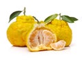 Ugly tangerine Royalty Free Stock Photo