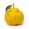 Ugly tangerine Royalty Free Stock Photo